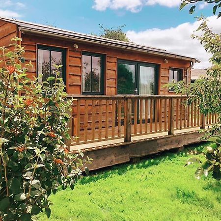Отель The Holford Arms Chalets And Glamping Дидмартон Экстерьер фото