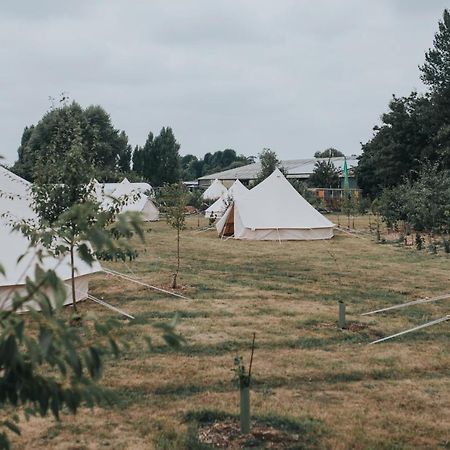 Отель The Holford Arms Chalets And Glamping Дидмартон Экстерьер фото