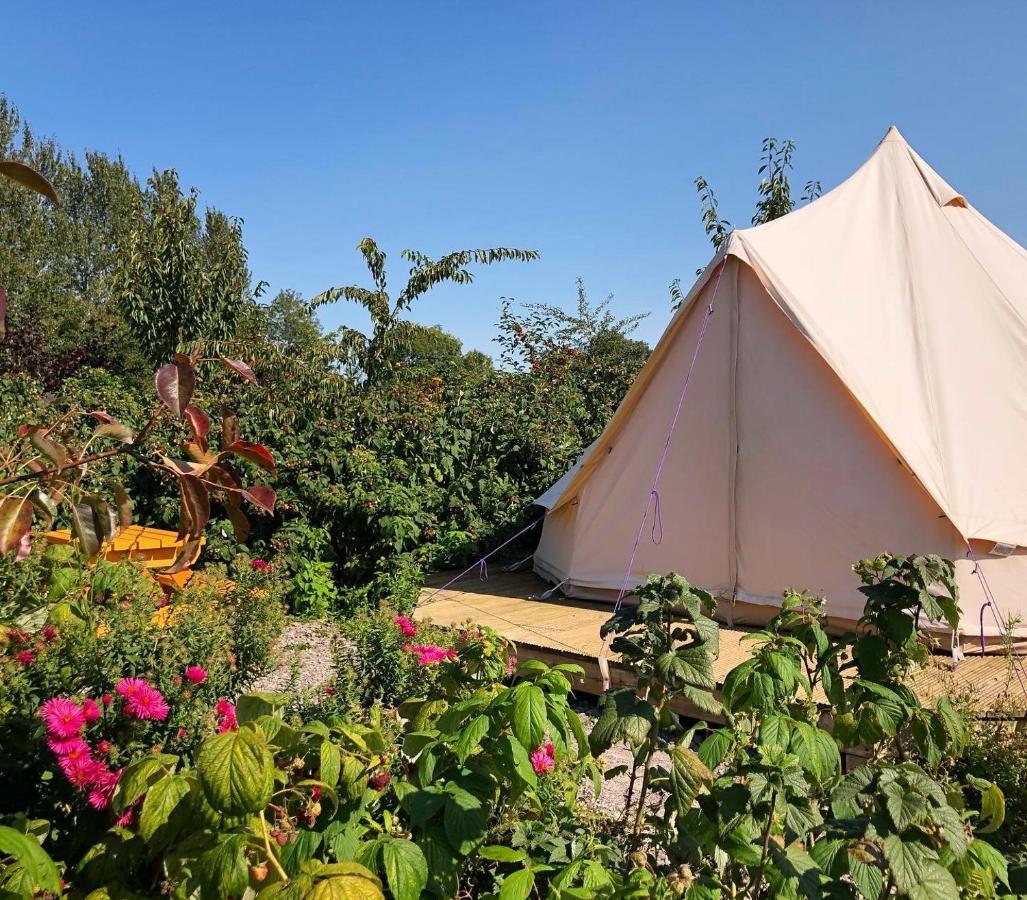Отель The Holford Arms Chalets And Glamping Дидмартон Экстерьер фото
