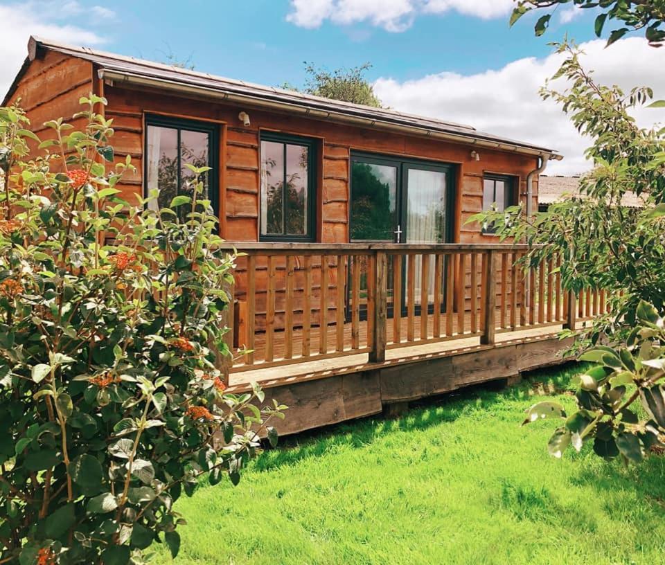 Отель The Holford Arms Chalets And Glamping Дидмартон Экстерьер фото