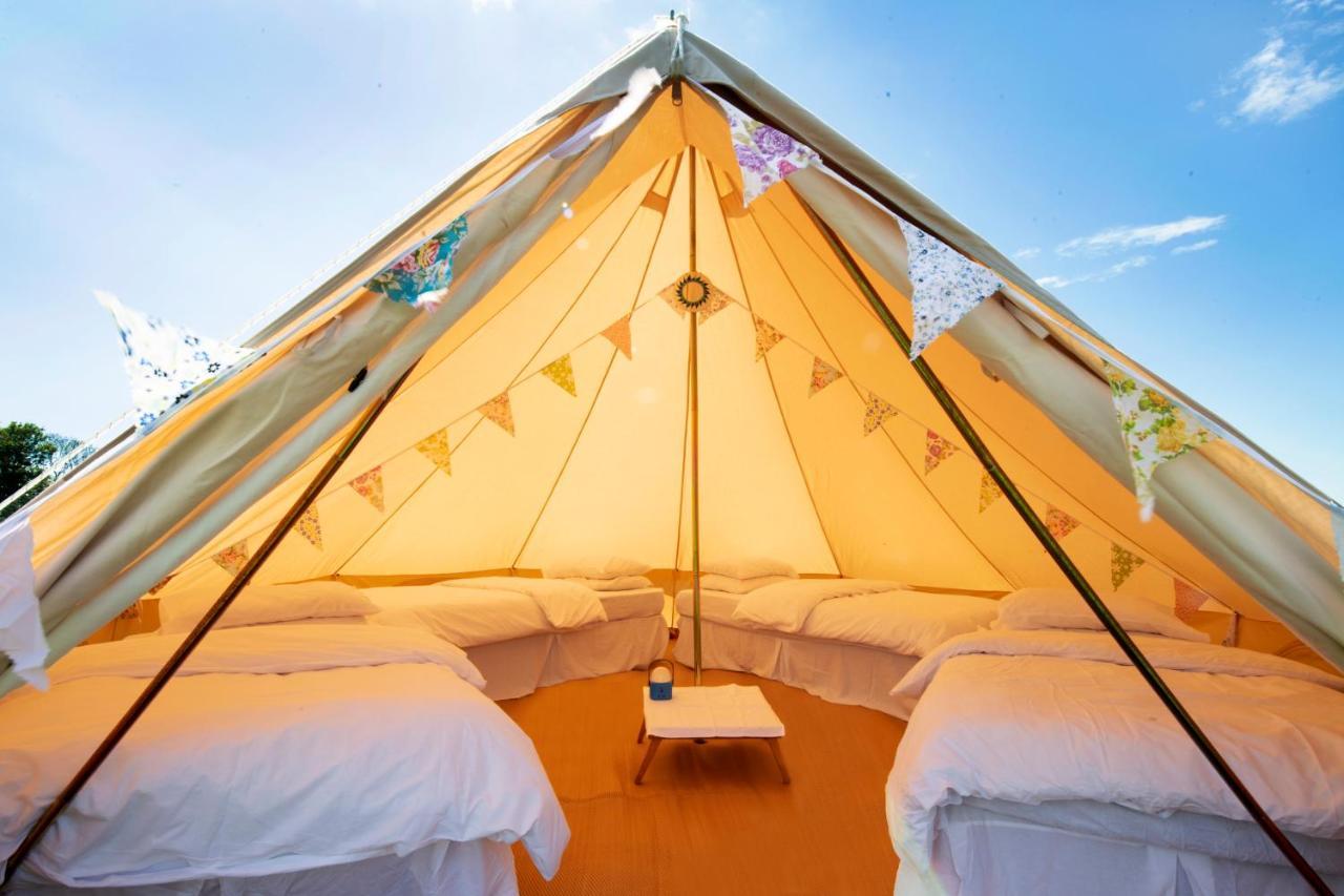 Отель The Holford Arms Chalets And Glamping Дидмартон Экстерьер фото